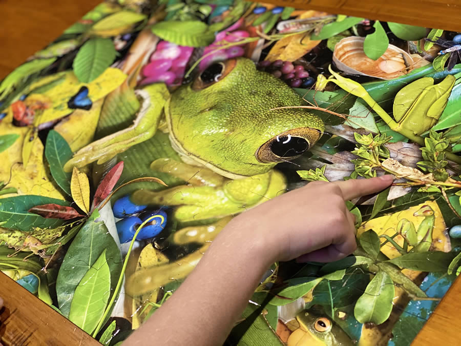100 piece poster sized jigsaw puzzle- 20 x 30 inches- Natures Face artistic design - Australian made and designed - creatures - nature - animals - kids jigsaw puzzle
