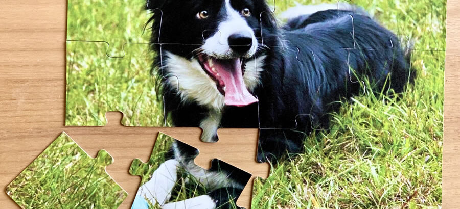 12 piece magnetic jigsaw puzzle - A4 jigsaw puzzle - dog puzzle - personalised puzzle - suitable for 2 to 3 year olds