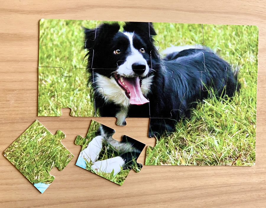 12 piece magnetic jigsaw puzzle - A4 jigsaw puzzle - dog puzzle - personalised puzzle - suitable for 2 to 3 year olds