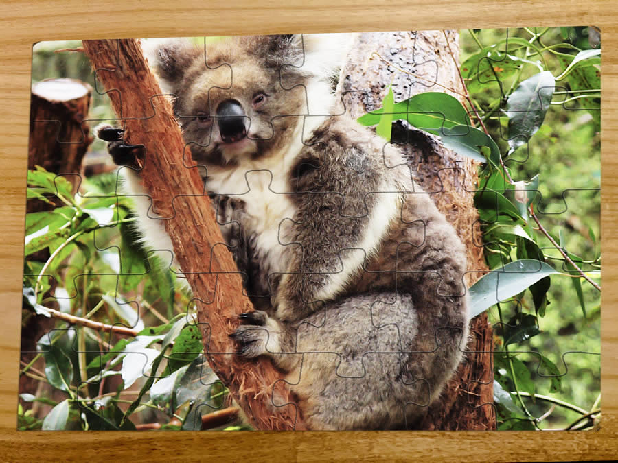30 piece puzzle - A4 personalised puzzle - ideal for 4-7 year old kids - unique puzzle