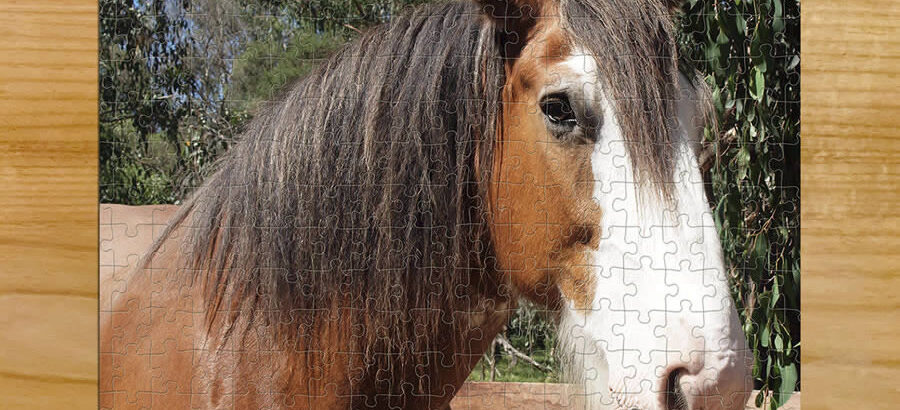 500 piece horse puzzle - personalised animal puzzle - adult puzzle - product 32