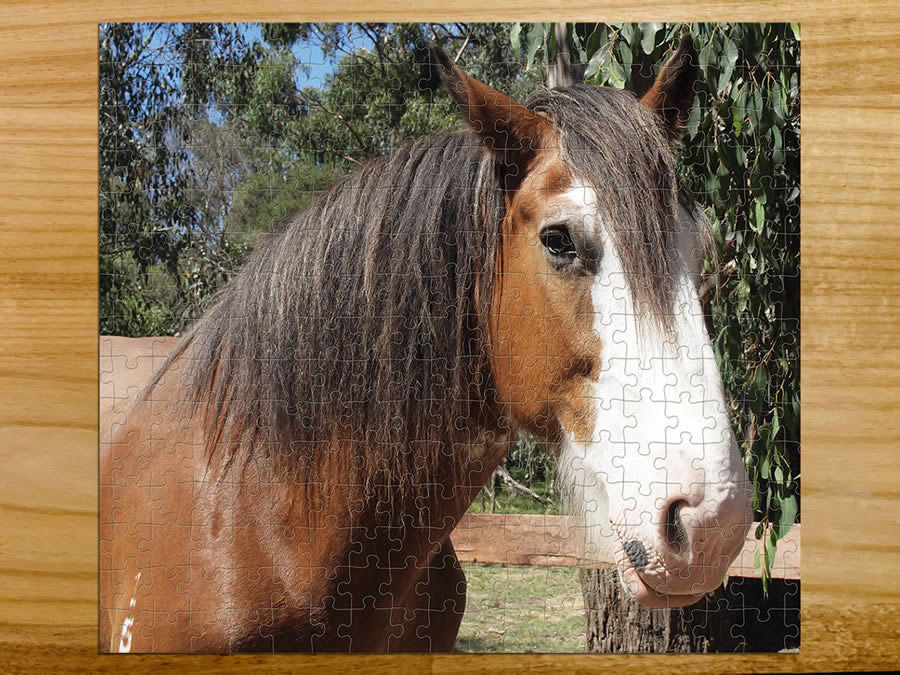 500 piece horse puzzle - personalised animal puzzle - adult puzzle - product 32