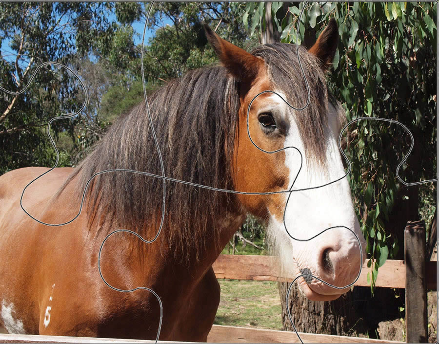6 piece puzzle- Equestrian Horse Puzzle - A4 range - horse puzzle - suitable for 1 to 3 year olds